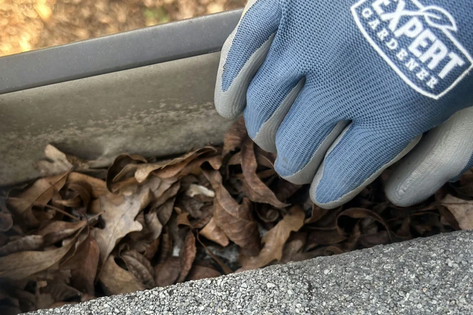 Gutter Cleaning Cherry Hill NJ